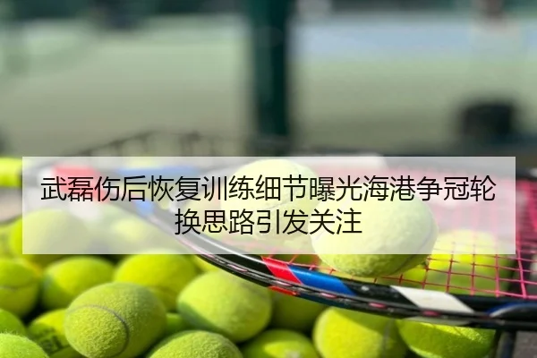 武磊伤后恢复训练细节曝光海港争冠轮换思路引发关注